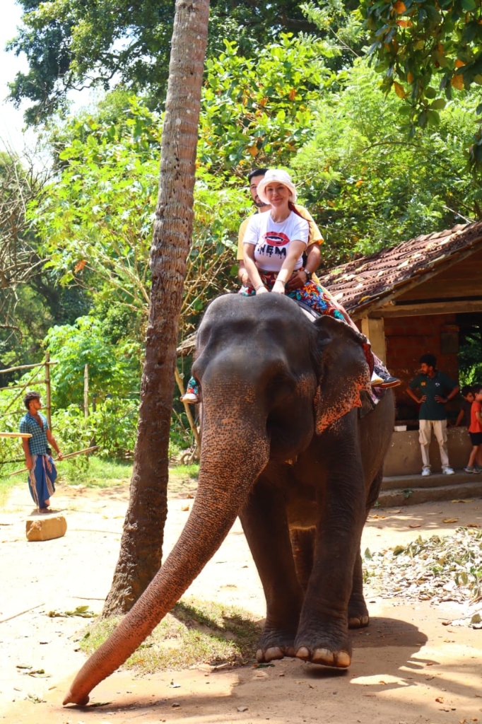 Tourists Elephant Ride Experience in Sri Lanka