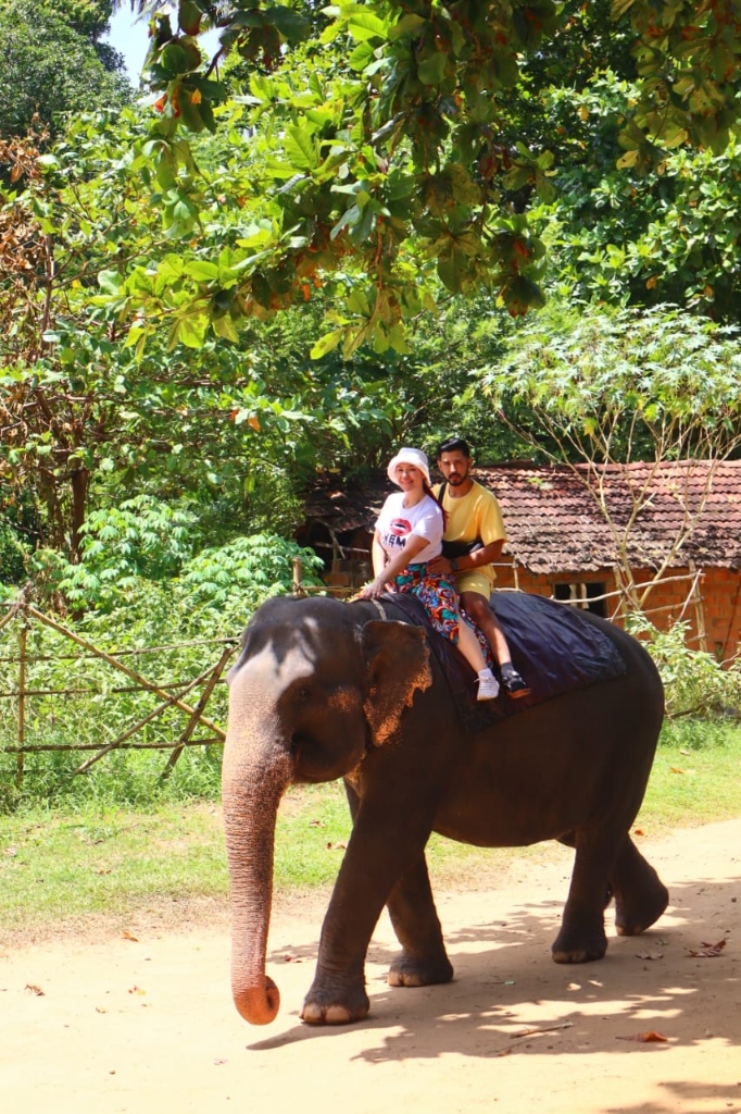 Elephant Safari Adventure in Sri Lanka